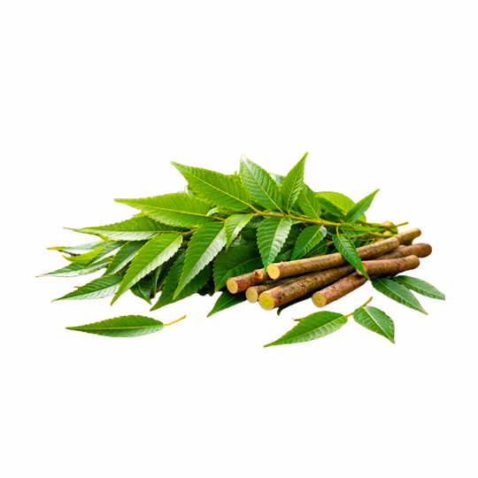 Neem